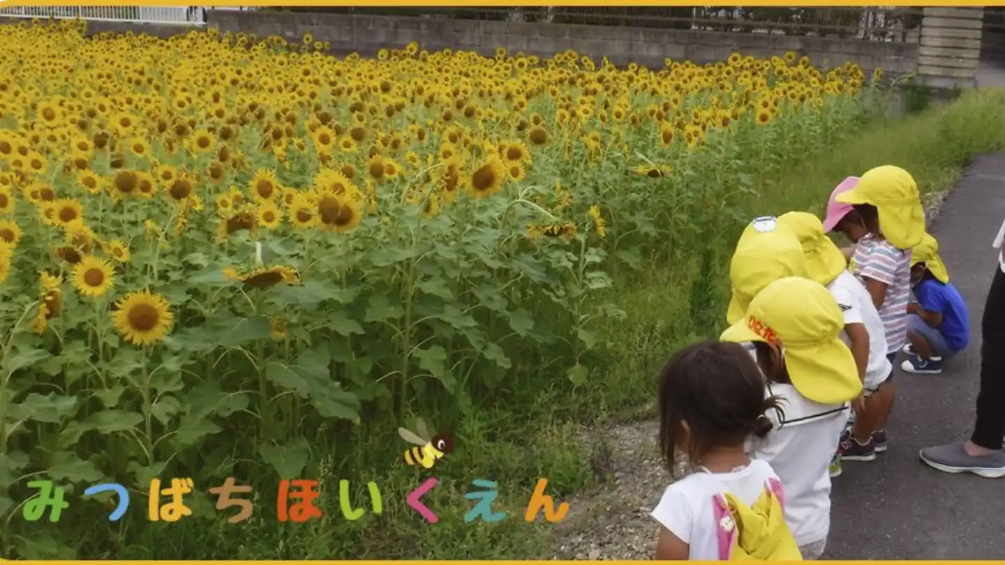 みつばち保育園 採用サイト