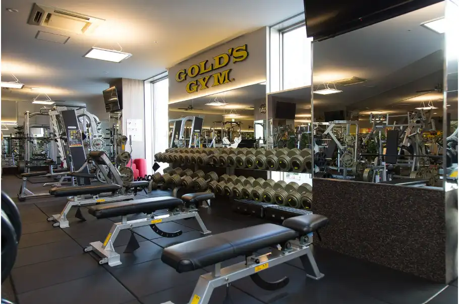 ゴールドジム（Gold's Gym）・オジオ（OGIO）ジム用バッグ 2023-2-6-5-18-